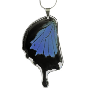 Papilio Ulysses Wing Necklace