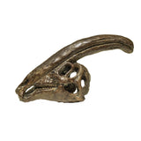 Parasaurolophus Skull