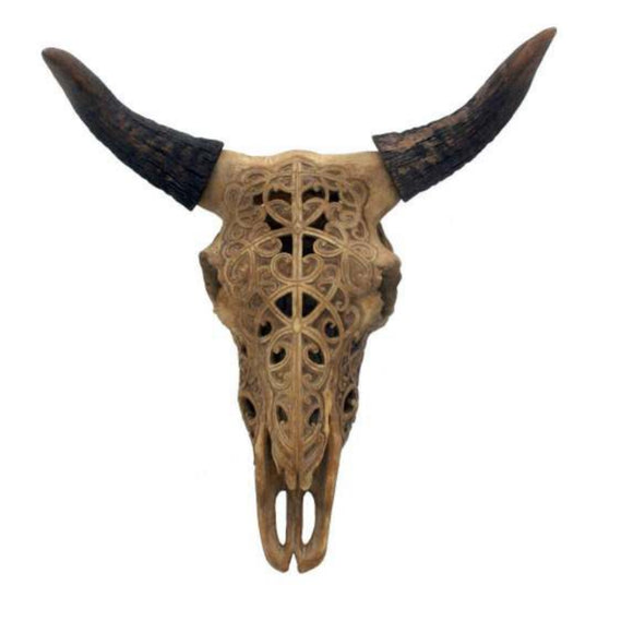 Etched Cow Skull