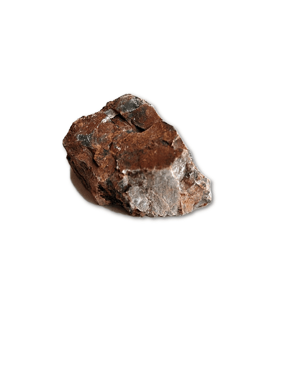 Rough Petrified Wood Pebble