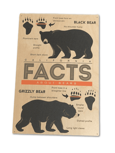 Bear Facts Wooden Sign