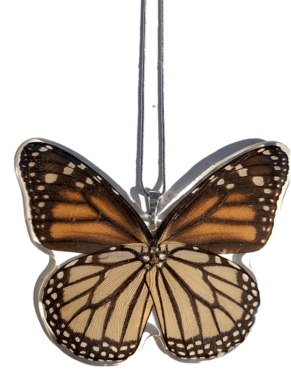 Monarch Butteryfly Necklace