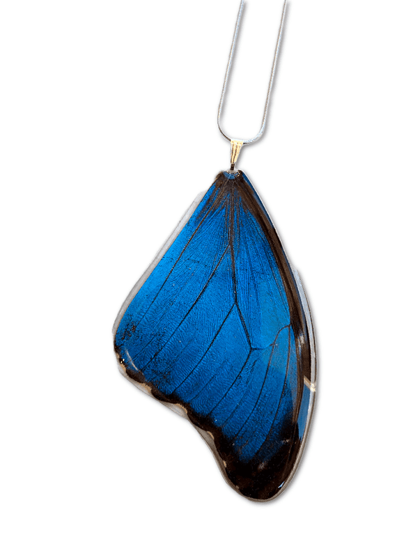 Blue Morpho Wing Necklace